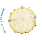 Piña